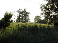May-3.jpg (156333 Byte)