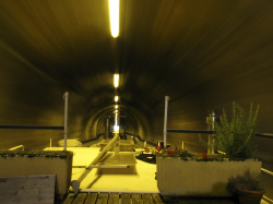 juli-10.jpg (124182 Byte)