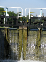 titel-aug.jpg (180253 Byte)